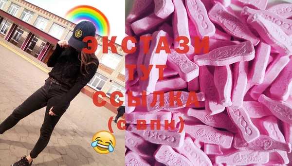 индика Верхний Тагил