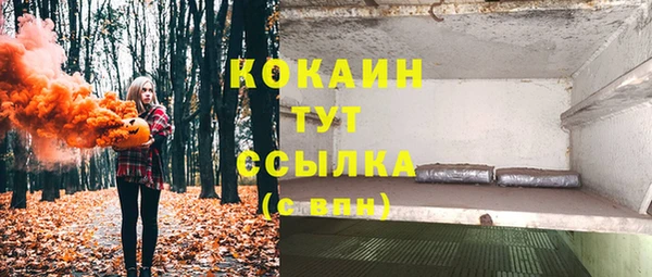 индика Верхний Тагил