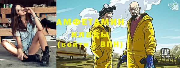 индика Верхний Тагил