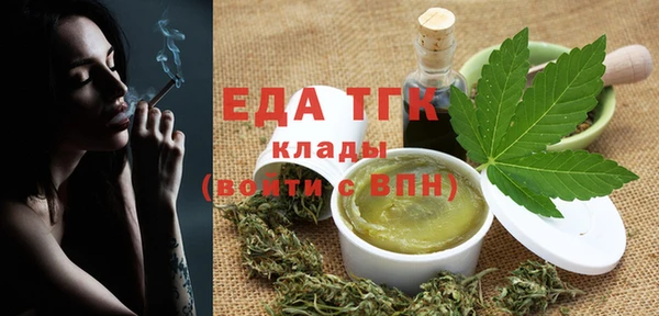 индика Верхний Тагил