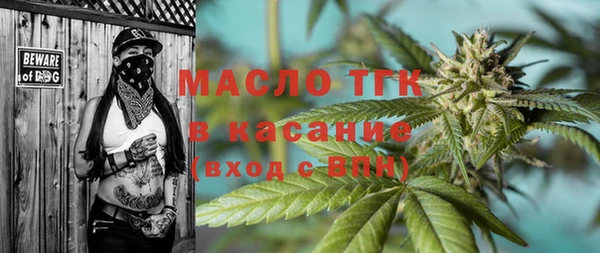 индика Верхний Тагил