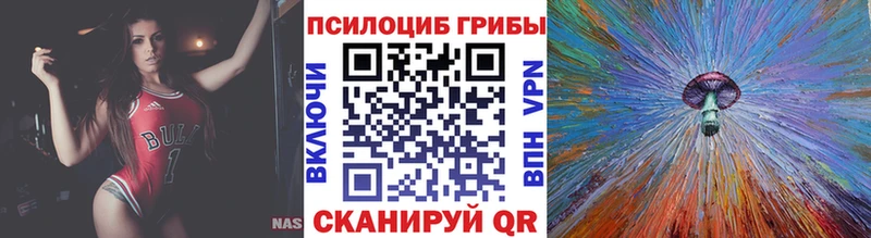 Купить  Черногорск  Псилоцибиновые грибы MAGIC MUSHROOMS 